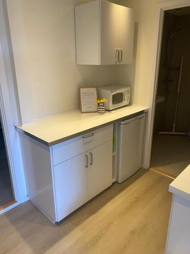 a kitchen with a counter top with a microwave at Mejrup Bed and Breakfast in Holstebro