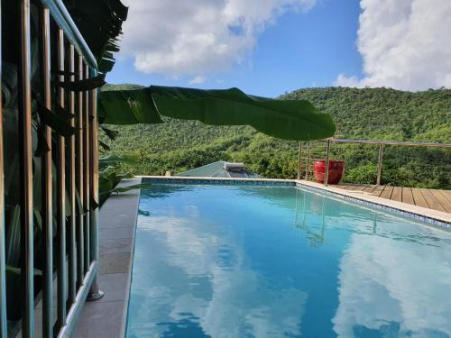a swimming pool with a mountain in the background at Casa Vista in Marigot Bay
