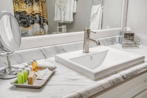 een badkamerbar met een wastafel en een spiegel bij Entire Place Washer Dryer Wi Fi 4K TV Pets Allowed in Arlington