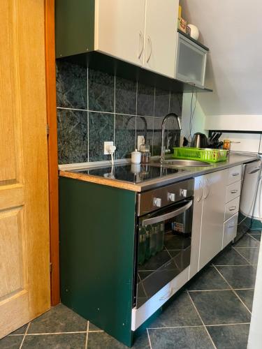 a kitchen with a sink and a stove at 4M Apartments in Petrovac na Moru