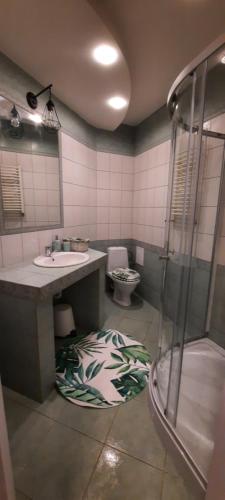 a bathroom with a shower and a sink and a toilet at Kamienica 1910 roku in Morąg