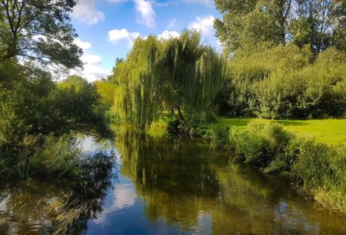 a river with a reflection of trees in the water at Tranquil Norfolk Log Cabin - Stunning Rural Sunset Views in Weston Longville