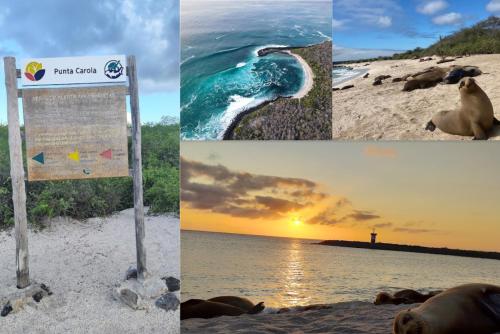 un collage de fotos de una playa con un cartel en Tropical Paradise, Galápagos en Puerto Baquerizo Moreno