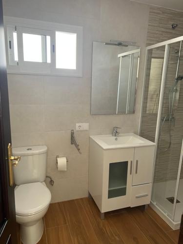 a bathroom with a toilet and a sink and a shower at El Torreón 2 in Lora del Río