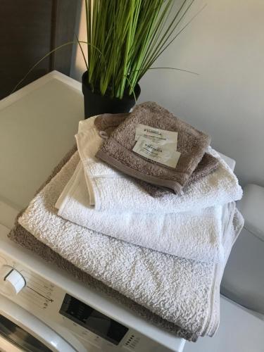 - une pile de serviettes assises sur un lave-linge dans l'établissement residence julius aéroport tillé classé 3 étoiles, à Tillé