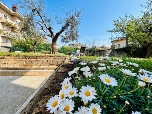 a garden with white flowers in a yard at Ares Apartment - Vicino al Lago di Garda e alla Stazione Treno in Desenzano del Garda