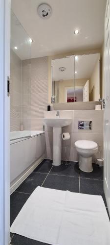 a bathroom with a sink and a toilet and a mirror at Wishart Drive 