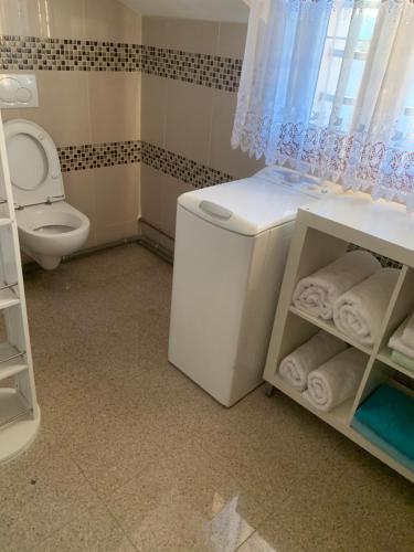 a small bathroom with a toilet and a sink at Appartement en zone pavillonnaire in Drancy