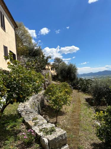 a stone path in front of a house with trees at La bella vista in Monte San Biagio