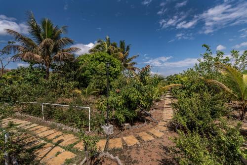 a path through a garden with palm trees and bushes at SaffronStays Zuma Villa, Pawna - luxury villa with a heated pool, sports court and gym in Malavli