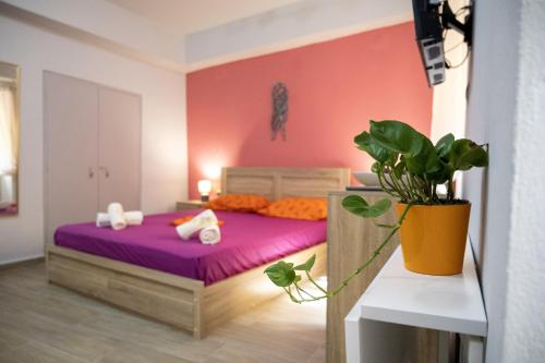 Un dormitorio con una cama con sábanas moradas y una planta en Maya Studio en Ermúpoli