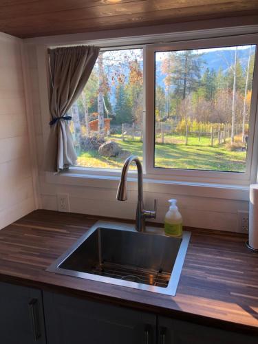 eine Küchenspüle vor einem Fenster in der Unterkunft Modern Private Tiny House in the Forest in Slocan