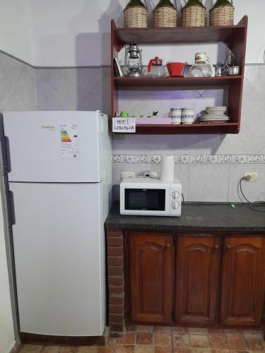 a kitchen with a white refrigerator and a microwave at Mar del Plata in Mar del Plata