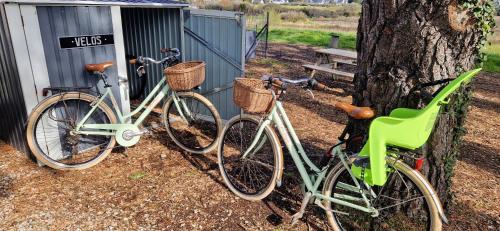 two bikes are parked next to a tree at LE LOFT in Séné