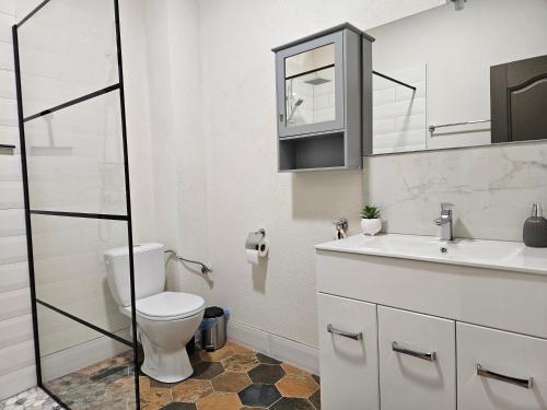 a bathroom with a toilet and a sink at Cozy apartament in Sighetu Marmaţiei