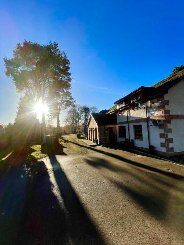 a sun shining through a tree next to a building at Mulberry in Nairn
