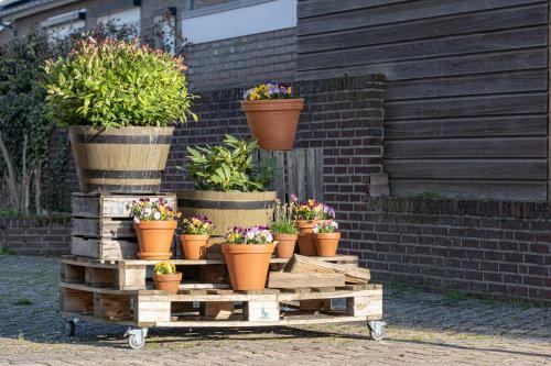 a group of potted plants on a wooden cart at @ geulle in Guelle