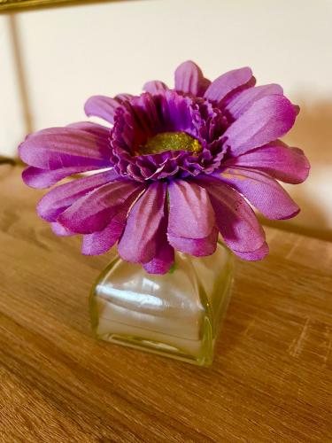 a purple flower in a glass vase on a table at Mulberry in Nairn