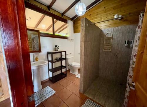 a bathroom with a shower and a toilet and a sink at Pirate Cove in Drake