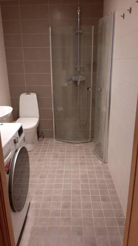 e bagno con doccia, servizi igienici e lavandino. di Puhas 2 toaline Kakumäe korter a Tallinn