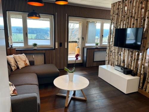 a living room with a couch and a tv at Apartment Fabelwald Black Forest in Schonach