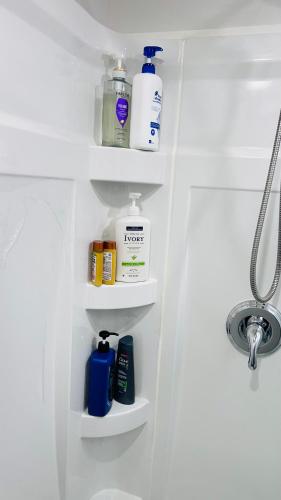 a bathroom shelf with bottles of soap and a sink at The Home Sweet Home in Winnipeg