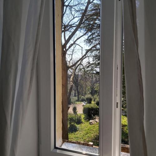 Apartman Fiume