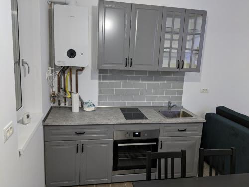 a kitchen with gray cabinets and a sink at Alina's Deluxe Apartment and free private parking in Dumbrăviţa