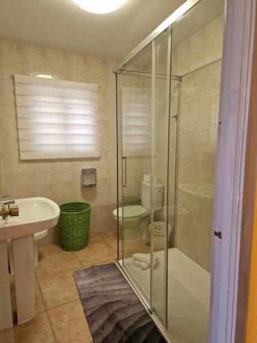 a bathroom with a shower and a sink and a toilet at Pensión O Muiño in O Pedrouzo