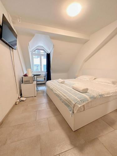 City Center Apt en-suite budget Self check in, ETH Zurich HB