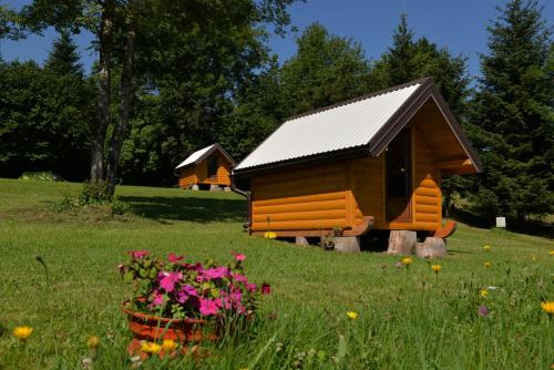 una cabaña en un campo con flores en la hierba en Small Bungalow, en Mojkovac