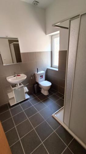 a bathroom with a toilet and a sink at Apartmány Javorník in Javorník