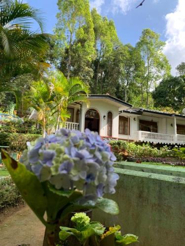 Um jardim em Eeshani Guest Inn