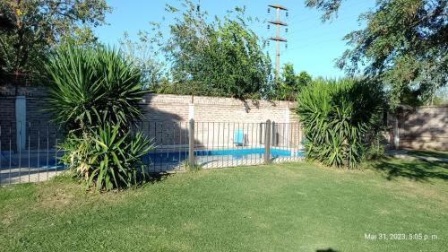 una cerca con dos palmeras en un patio en Las Cecilias 2 en San Vicente