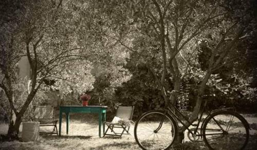 a bike parked next to a table and a bench at Holiday Home Anja in Supetar