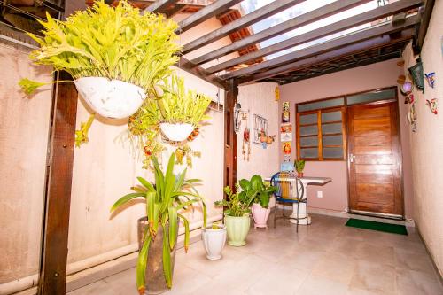 a hallway with potted plants in a room at Casa em Campina Grande in Campina Grande