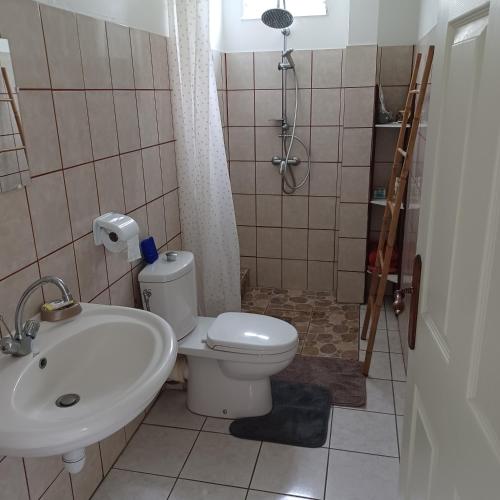 La salle de bains est pourvue de toilettes, d'un lavabo et d'une douche. dans l'établissement L IXORA VOUS ACCEUILLE, à Sainte-Luce