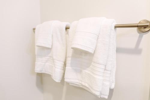 a group of white towels hanging on a towel rack at The Tangerine Motel 