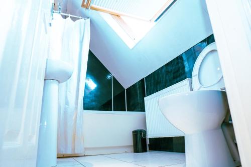 een witte badkamer met een toilet en een douche bij 412b Westgate - Room 6 in Elswick