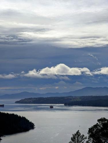 a large body of water with a boat in it at Maple Rise Guesthouse in Duncan