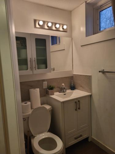Baño pequeño con aseo y lavamanos en Cozy Private Rooms in Suite en Edmonton