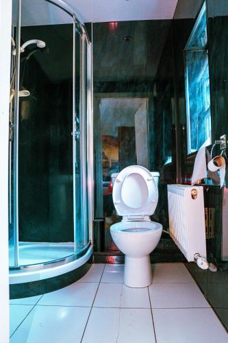 een badkamer met een toilet en een douche bij 412B Westgate Room 4 in Elswick