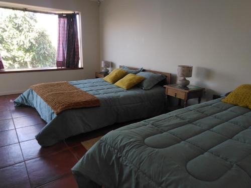 een slaapkamer met 2 bedden en een raam bij Casa Mamalluca in Vicuña