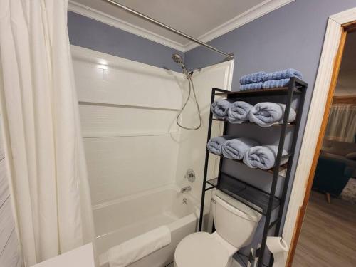 a bathroom with a shower and a toilet and towels at Newly renovated home with WIFI and ROKU TV in Brimley