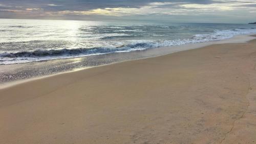 a sandy beach with the ocean in the background at Hotel Coral Bay in Trincomalee