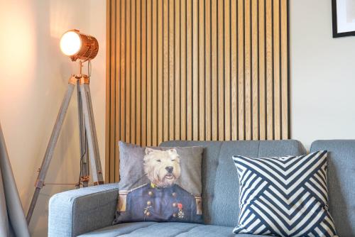 a dog on a pillow on a blue couch at Canal View Apartment - City Centre - Free Parking, Balcony, Fast Wifi, SmartTV with Netflix by Yoko Property in Northampton