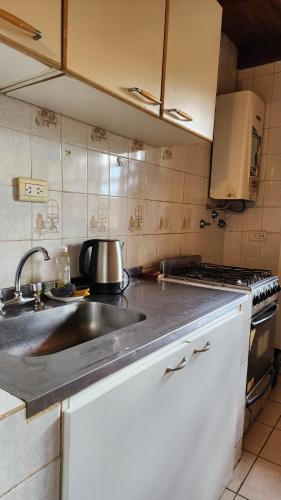 Il comprend une cuisine équipée d'un évier et d'une cuisinière. dans l'établissement Hospedaje Belen, à Ushuaia