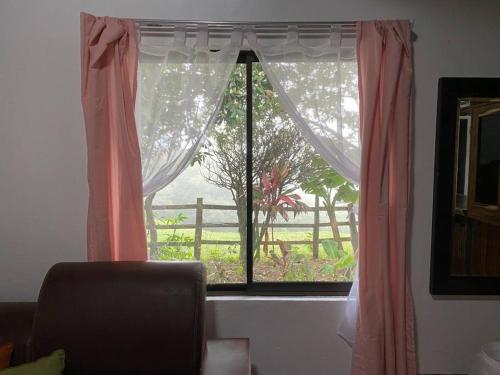 Eloys Place – Photos 3