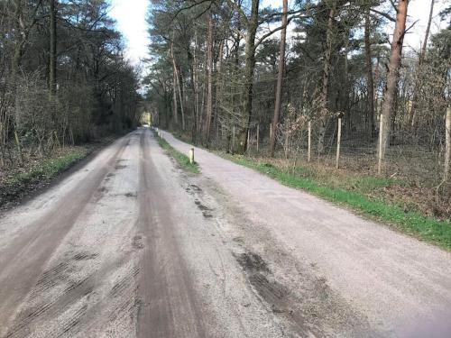 Příroda nedaleko apartmánu