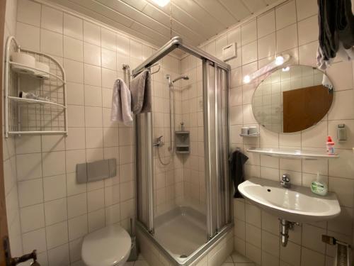 y baño con ducha, aseo y lavamanos. en Winzerhaus im Oberdorf - FeWo u Zimmer - auch kombinierbar en Erden